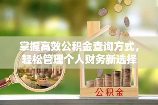 富民掌握高效公积金查询方式，轻松管理个人财务新选择